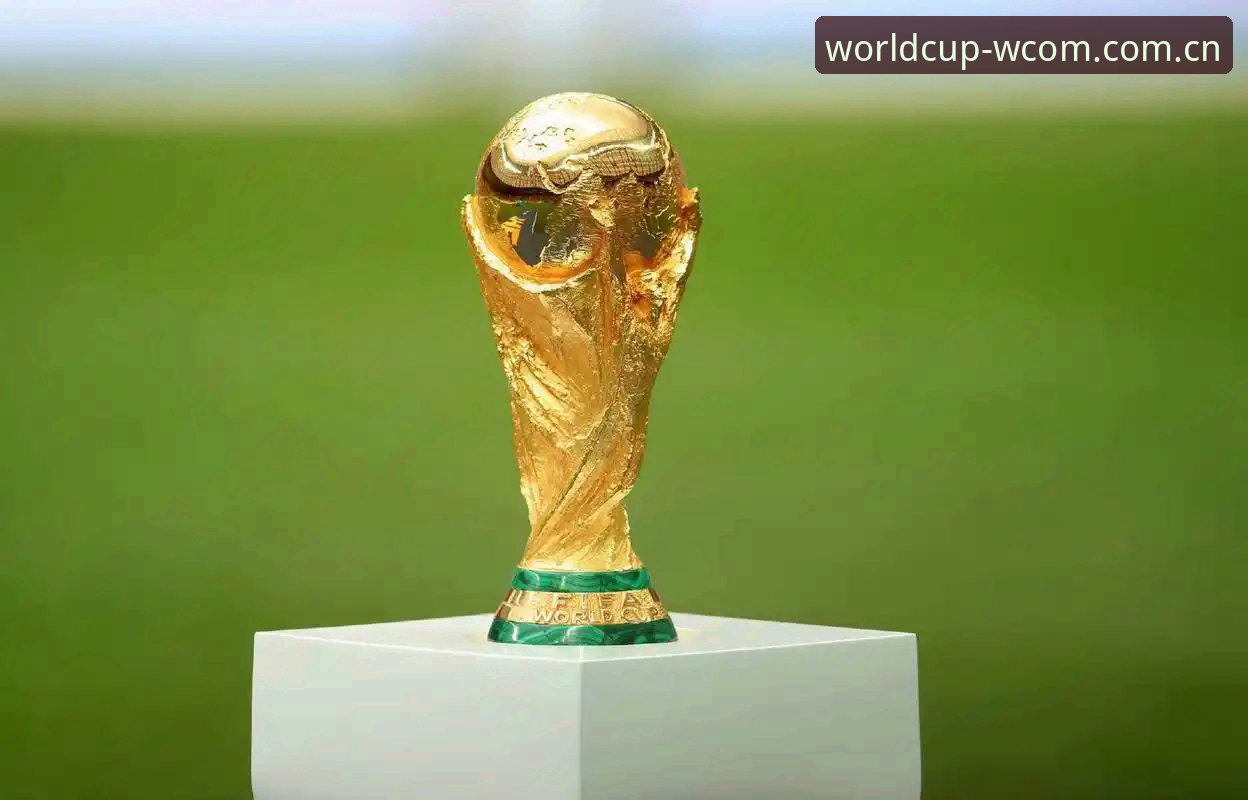 世界杯竞猜哪个好 2026世界杯外围赛官方入口 vs 普通平台:哪家竞猜更值得选?
